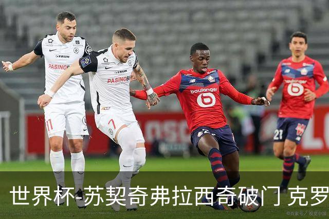 世界杯-苏契奇弗拉西奇破门 克罗地亚2-1加纳小组第二